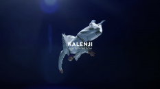 Screenshot 2025-01-28 at 10.53.36